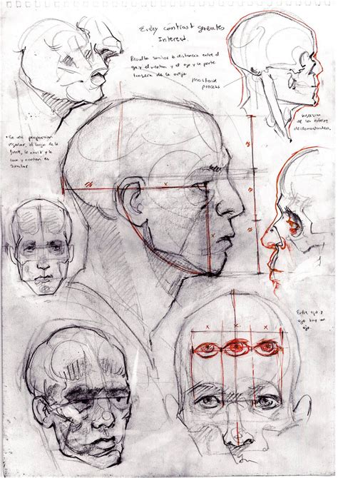 Drawing Heads Face Drawing Face Structure Drawing Anatomy Sketches