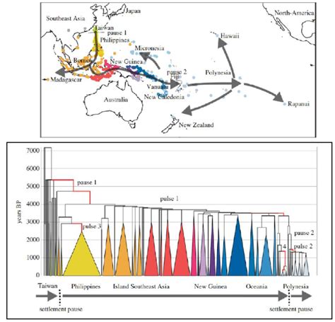 Distributions And Phylogenetic Trees Of Austronesian Languages This