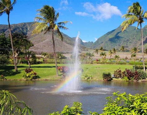 Five Maui Zipline Tours For Your Maui Vacation Aloha Stoked Mauis