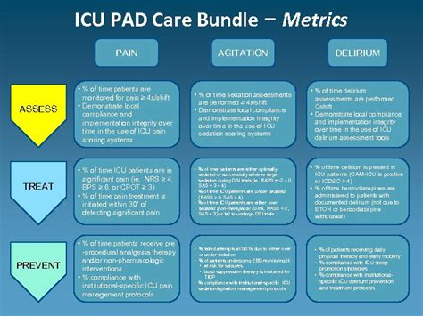 Icu Pain Agitation Delirium Care Bundle Metrics