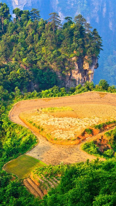 20 classic zhangjiajie food : Sunrise over hanging paddy field, Zhangjiajie National ...