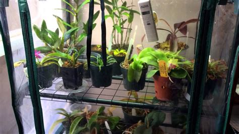 In this article, we'll teach you several common techniques so you can clone your orchids with ease. How to make a Cheap DIY Indoor Grow Chamber for Warm ...