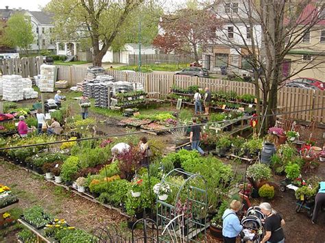 Community Gardens Maravillosospaisajes