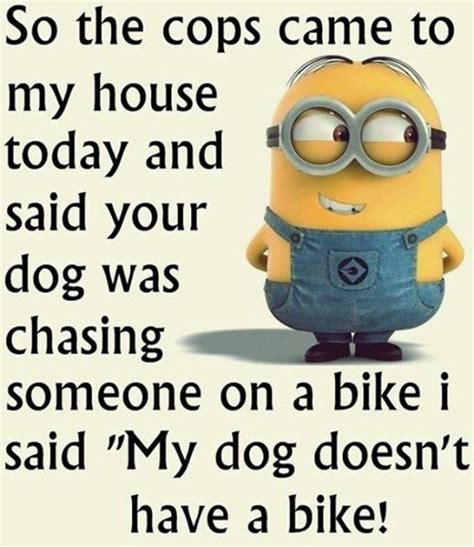 45 funny quotes laughing so hard and hilarious memes funny quotes minions funny funny minion