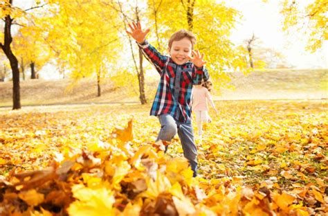 50 Must Do Fall Activities For Families