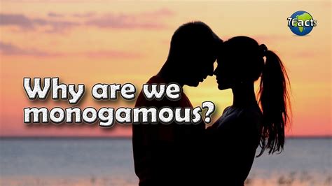 how did we become monogamous youtube