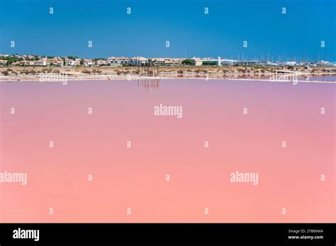 Gruissan South Of France The Salt Marshes Of St Martin Island Whose