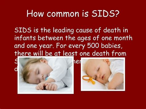 PPT - Sudden Infant Death Syndrome (SIDS) PowerPoint Presentation, free download - ID:2066037