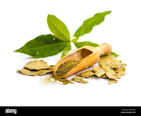 Making Fragrant Spices From A Bay Leaf Stock Photo Alamy