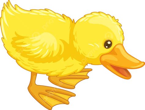 Cartoon Duck Feet Png Vector Psd And Clipart With Transparent