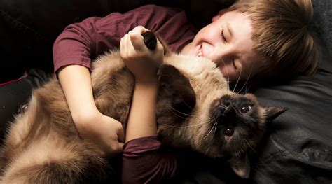 National Hug Your Cat Day 5 Meaningful Ways To Celebrate