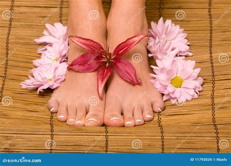 Woman S Pedicured Feet Stock Photo Image Of Bodycare 11793034