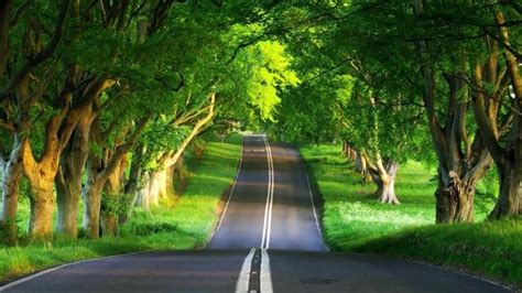 The Most Beautiful Roads Amazing Roads In The World Youtube