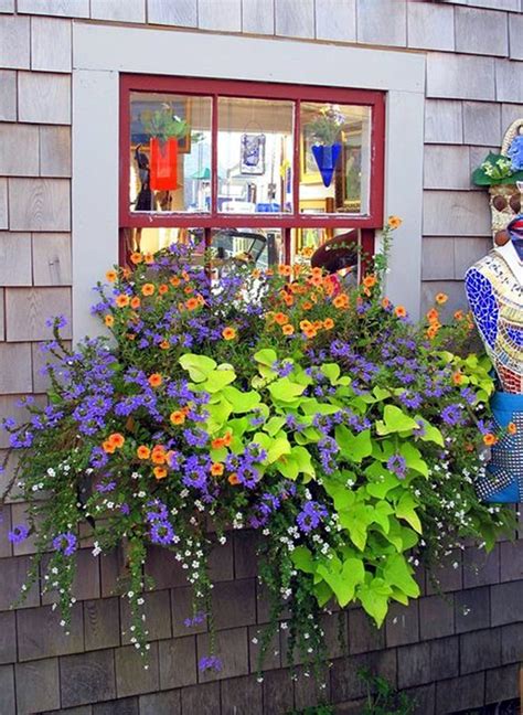 Flowerbox sa hortenzijama, ružama i orhidejama. 15 Inspiring Window Flower Boxes for Wishing You Good Morning