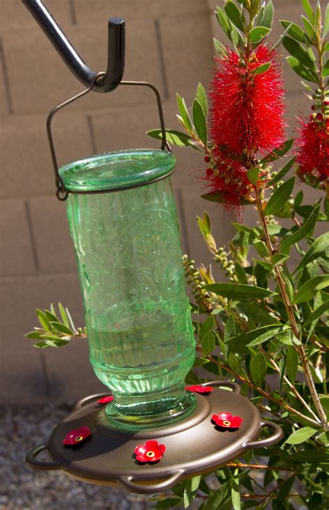 Best Nectar Feeder For Hummingbirds With 5 Feeding Spouts Nectar Feeders Humming Bird Feeders