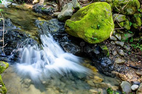 Long Exposure River And Green Moss Stone In Forest Stock Image Image