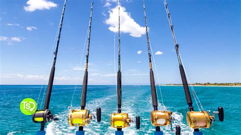 Deep Sea Fishing Near Me The Best Spots For Big Game Fishing