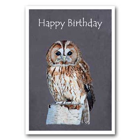 Wildlife Birthday Cards Ochil Crafts