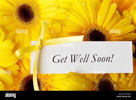 Get Well Soon Flowers Color Ways To Pick Best Get Well Flowers For