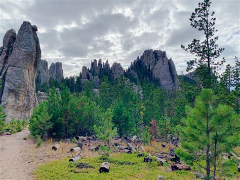 36 Hours In The Black Hills Kat Tells All