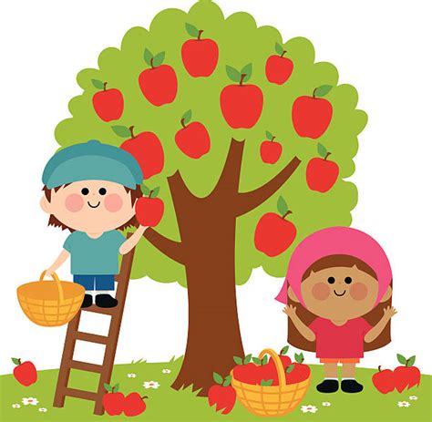 Apple Orchard Clip Art 20 Free Cliparts Download Images On Clipground