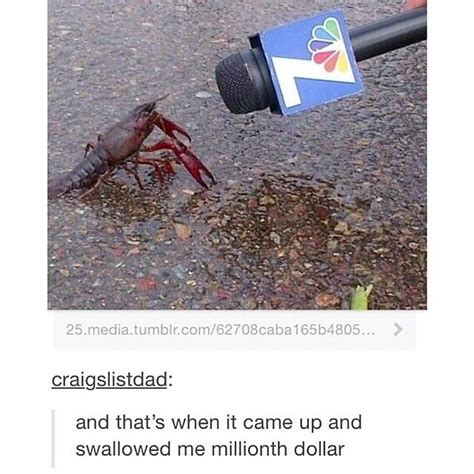 T Repin If U Get It That S A Crawfish Not A Crab Lol Funny Cute Hilarious Funny Memes