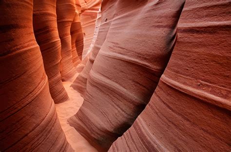 6 Incredible Day Hikes In Grand Staircase Escalante National Monument