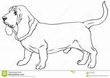 Hound Basset Dog Breed Vector Illustration Coloring Symbol Sign Breeds Pets sketch template