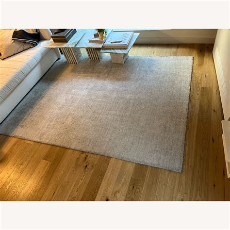 West Elm Glimmer Rug - AptDeco