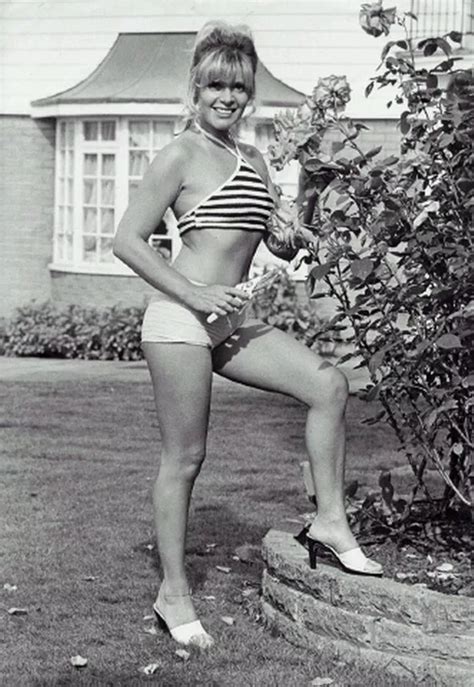 Mary Millington A Look Back At Mole Valley S World Famous Porn Star Of