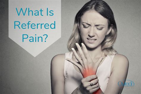 What Is Referred Pain Oviedo Chiropractic