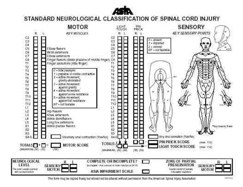 Vertebral Body Compression Fractures