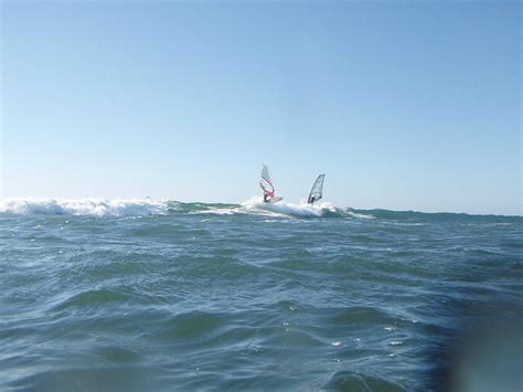 Windsurfing Avalon