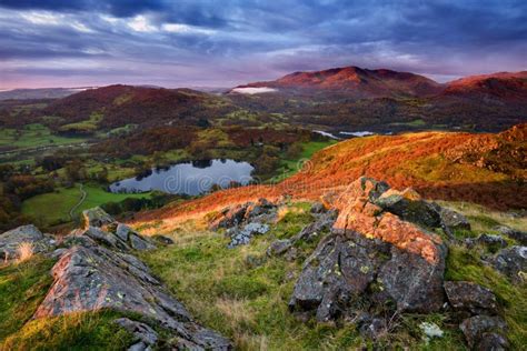 Sunrise At Loughrigg Tarn In Lake District Stock Image Image Of