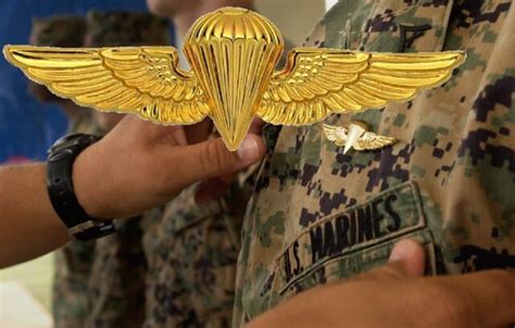 Us Navy Us Marine Corps Parachute Badge Regulation Size 2 Pins Ebay