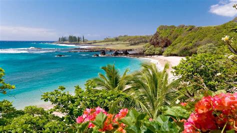 Beautiful Maui Beach Ultra Hd Wallpapers Wallpaper Cave