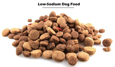 Sodium free dog food can be highly beneficial for your pet. The Best Low Sodium Dog Food Brands - Small Animal Planet