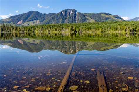 A Remote Lake On Vancouver Island Stock Image Image Of Hill
