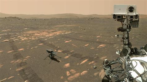 Two Bots One Selfie Nasa On 1st Photo Of Mars Perseverance Rover With
