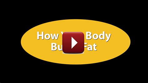 How Your Body Burns Fat Private Label Fitness Branded Fitness Fitness Marketing