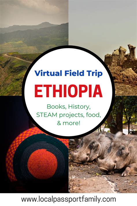 All applicants should secure an online appointment when applying for a passport. E is for Ethiopia: Ethiopia For Kids Virtual Tour | Local Passport Family