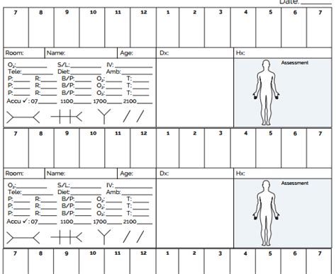 Download Our Free Database Of 33 Nursing Brain Sheet Templates Stay