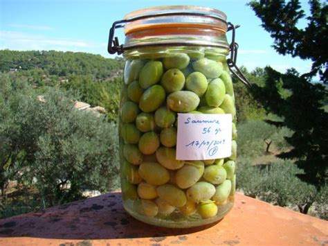 Comment bien conserver et préparer les olives Le guide sur la