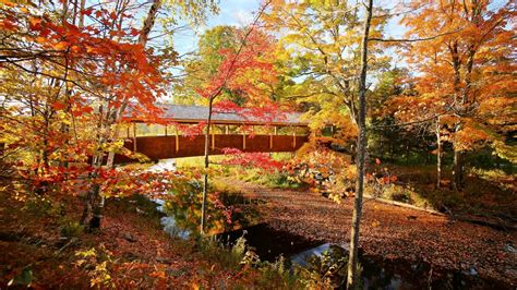 New York Fall Foliage 17 Places To Enjoy Fall Colors In Ny