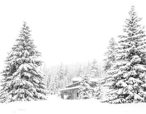 Black and White Snowy Winter Landscape for Rustic Country Home Decor ...