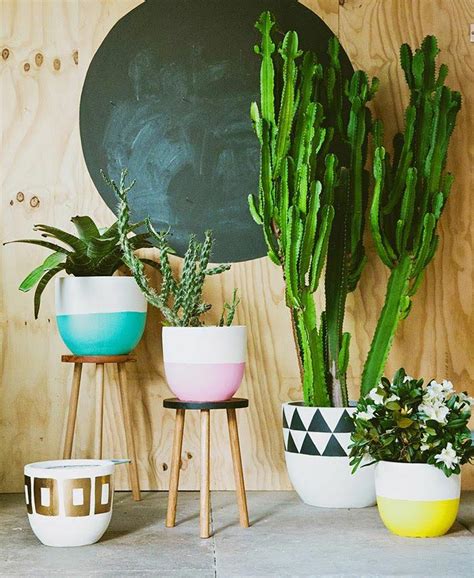 99 Great Ideas To Display Houseplants Indoor Plants Decoration