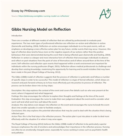 Gibbs Nursing Model On Reflection