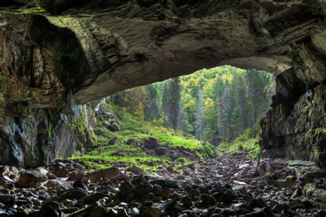 Cave Entrance Stock Photos Pictures And Royalty Free Images Istock