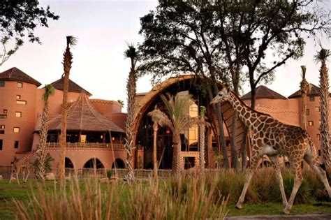 Tips For Your First Stay At Dvcs Animal Kingdom Lodge And Villas Dvc Shop