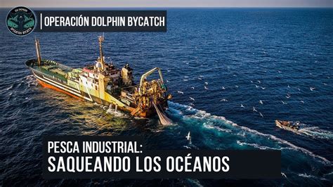 Pesca Industrial Saqueando Los Océanos Youtube